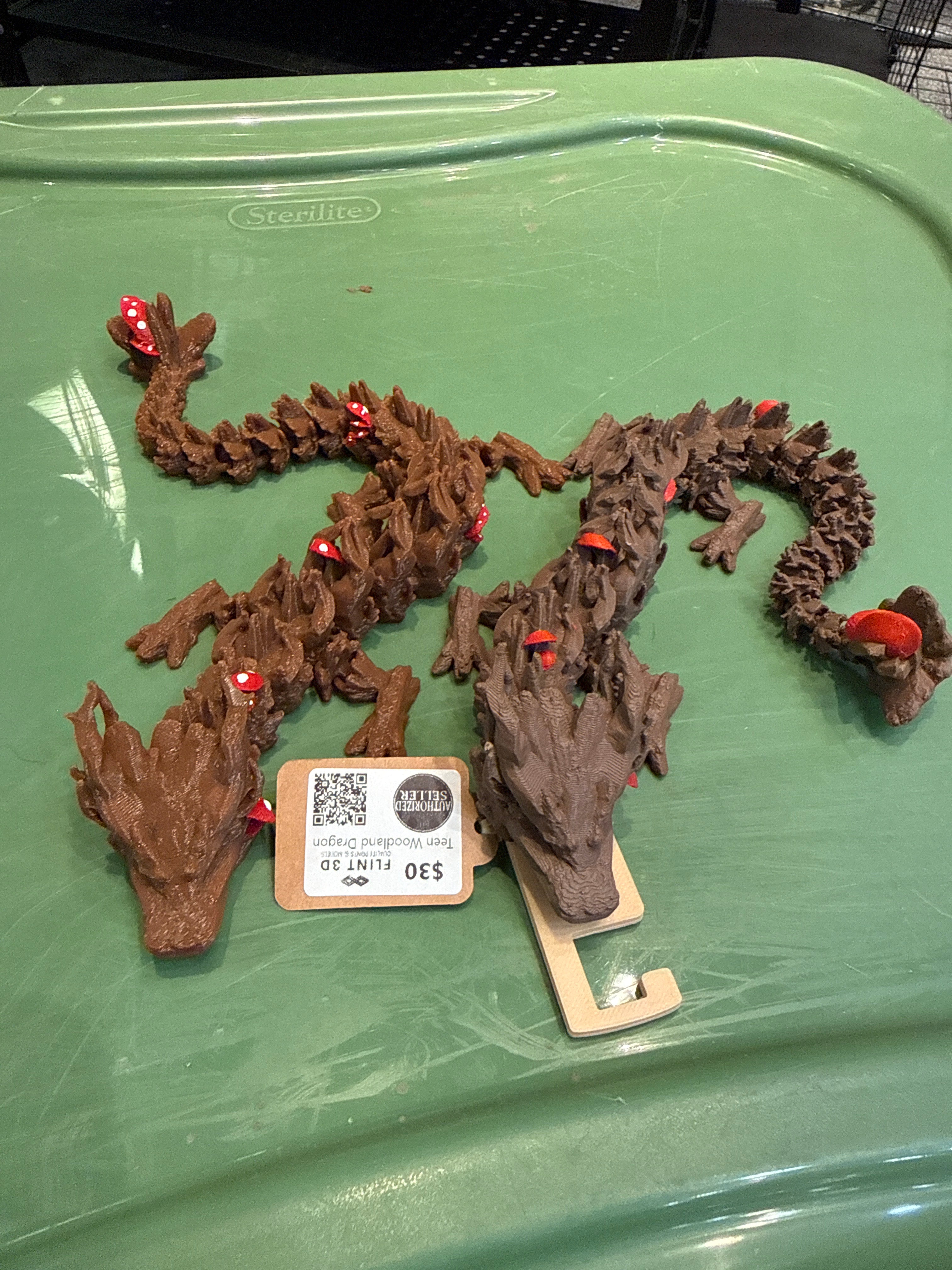 Teen Woodland Dragon