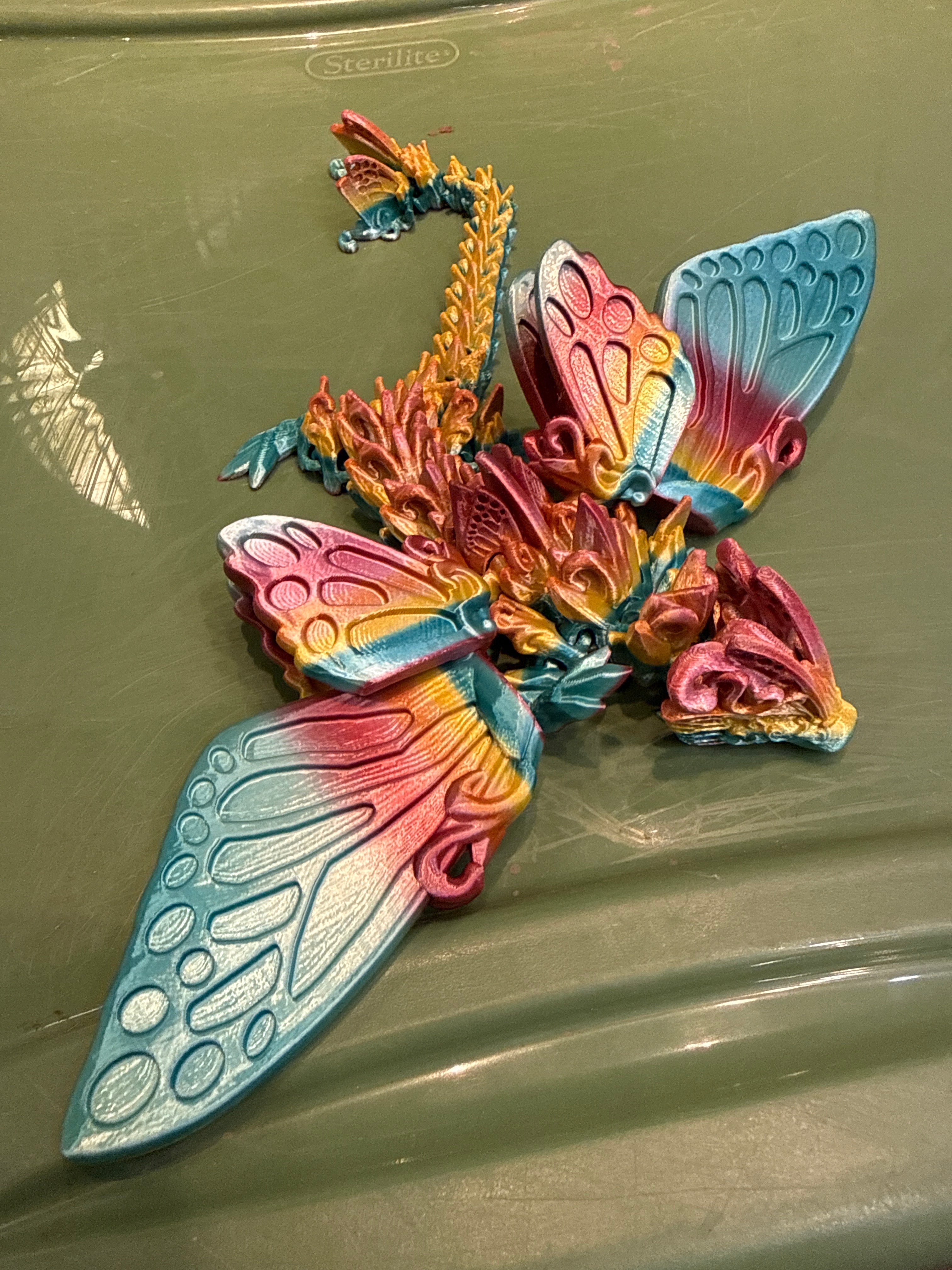 Teen Butterfly Dragon