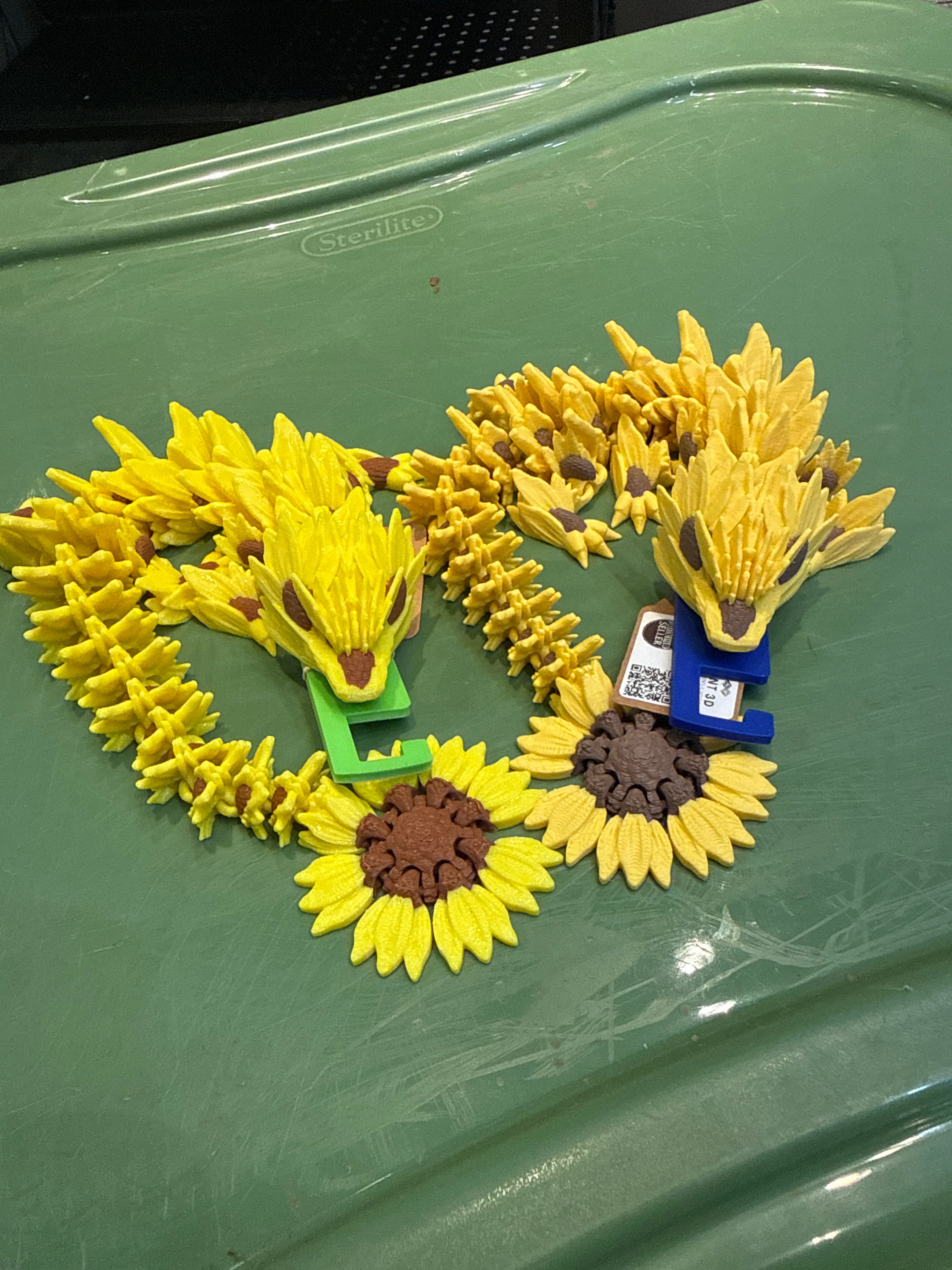 Teen Sunflower Dragon