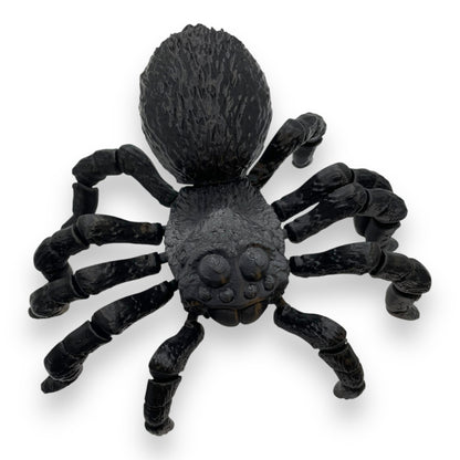 Tarantula